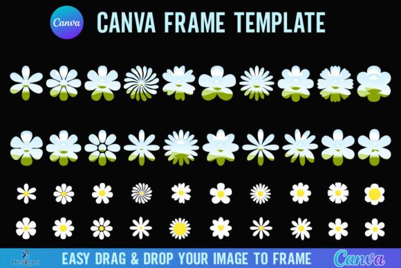 Daisy Canva Frame Daisy Flower Floral Graphics